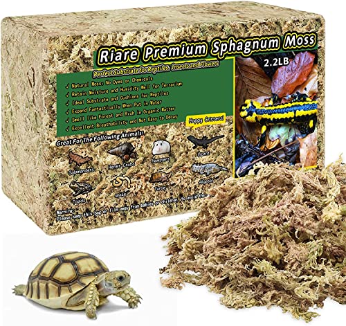Riare 50QT Natural Sphagnum Moss for Reptiles 2.2LB Terrarium Reptiles Moss | Dried Terrarium Moss Bedding for Snakes Turtles Frogs Geckos Ball Pythons Lepard Gecko Lizards Bearded Dragon & Humid Hides - color: 2.2 LB