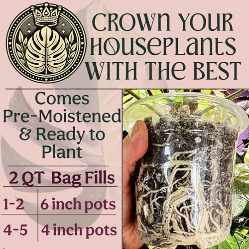 Craft Organic Houseplant Potting Mix, Elite House Plant Soil, Chunky, Well Draining Potting Soil for All Indoor Plants, Tropical Plants & Flowers, Sustainable & Peat Free, Less Prone to Gnats, 2QT - size: 2 Quart