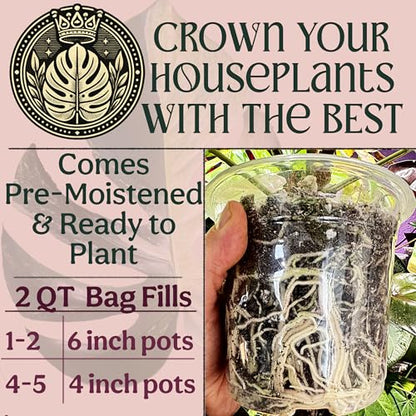 Craft Organic Houseplant Potting Mix, Elite House Plant Soil, Chunky, Well Draining Potting Soil for All Indoor Plants, Tropical Plants & Flowers, Sustainable & Peat Free, Less Prone to Gnats, 2QT - size: 2 quarts