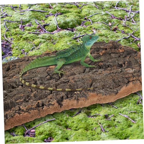 VANZACK 2pcs Reptile Cork Bark for Fish Tank Landscaping Natural Decorative Climbing Accessories for and Snake Habitats Safe Sturdy and Design