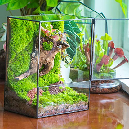 NCYP Close Glass Terrarium with Door - 7.8 x 5.1 x 9.8 Inches Geometric Landscape Clear Planter for Small Tropical Plants - Indoor Tabletop Centerpiece, Garden Decor (Terrarium Only) - size: 7.8x5.1x9.8 inches