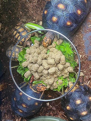Wontee Tortoise Feeding Dish Reptile Water Dish Food Bowl Stainless Steel Feeder for Tortoises Lizards Turtles Chameleon (M) - size: M