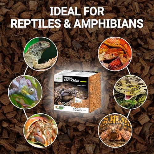 REPTI ZOO 72 Quart Reptiles Coconut Chip Substrate, Coco Husk Reptiles Bedding for Ball Python, Snakes, Geckos, Lizards, Tortoises, Frogs | Terrarium Tanks Substrate - style: Coconut Chip Substrate