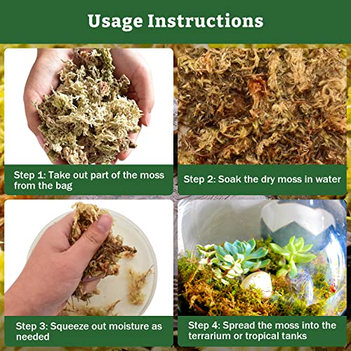 Riare 5.3 OZ Premium Sphagnum Moss for Reptiles 2 Pack Natural Compressed Coconut Fiber Substrate for Reptiles Terrarium Bedding for Tortoise, Frogs, Snakes Hermit Crabs, Burrowing Animals