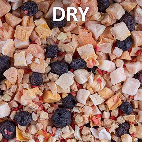 Healthy Herp Fruit Mix Instant Meal Reptile Food - Bearded Dragon Accessories & Bearded Dragon Food - Nutritious Blend for Bearded Dragons, Box Turtles, Tortoises, Hermit Crabs - 3.5 oz (99g) - size: 4.3 Ounce (Pack of 1), style: Jar