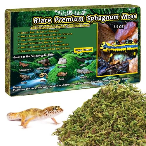Riare 3.5 OZ Premium Sphagnum Moss for Reptiles- 4QT Natural Live Moss Reptile Moss Bedding for Terrarium, Hatching, Forest Sphagnum Moss Reptile Substrate for Snakes, Gecko, Turtles, Frogs, Leopard - color: 3.5 OZ