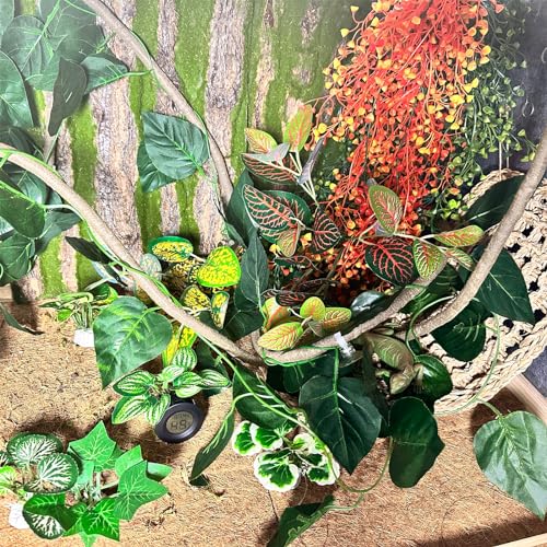 Tfwadmx 15Pcs Bearded Dragon Tank Accessories, Reptile Plants, Reptile Hammock, Lizard Habitat Decor with Terrarium Plants Hygrometer for Geckos Snakes Chameleons