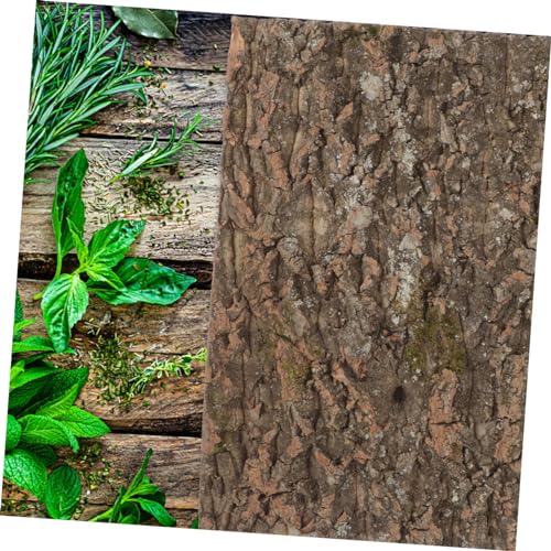 BESPORTBLE Cork Terrarium Background for Reptile Tanks Natural Bark Backdrop Decor Climbing Mat Safe Reusable Aesthetic Habitat for Chameleons Lizards and Other Reptiles