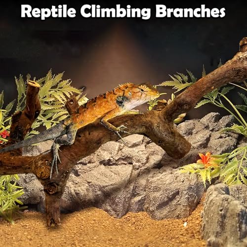 VCEPJH Snake Climbing Branch, 2Pcs Reptile Wood Natural Cork Log Tank Accessories Tree Trunk for Chameleon Bearded Dragon Gecko Snake Frog Spider(11.8 inches) - size: Grape Wood (S:11.8"-2pcs)