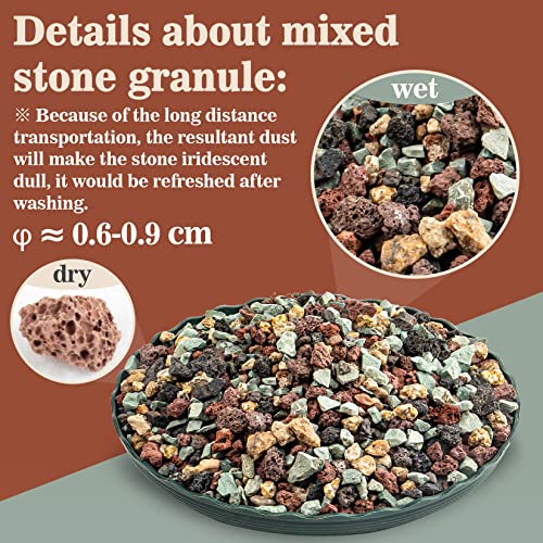 Sukh 1LB Horticultural Succulent Granule Soil - Succulent Rocks Bonsai Mix Lava Rocks Cactus Soil Potting Mix Amendment (Pack of 2) - size: 1LB (Pack of 2)