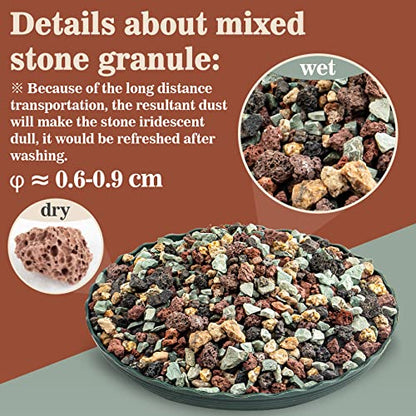 Sukh 1LB Horticultural Succulent Granule Soil - Succulent Rocks Bonsai Mix Lava Rocks Cactus Soil Potting Mix Amendment (Pack of 2) - size: 1LB (Pack of 2)