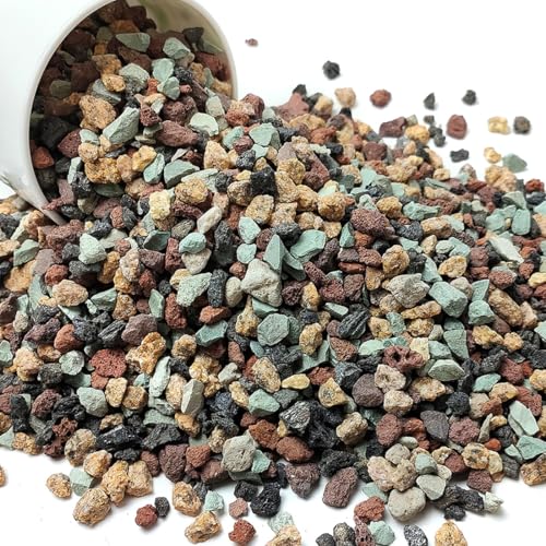 YISZM Succulent Cactus Soil Potting Mix Horticultural Lava Rocks Bonsai Soil for Indoor Plants Drainage Volcanic Rock for Terrarium Gardening Top Dressing 5lb - color: Multi, size: 5 Pounds