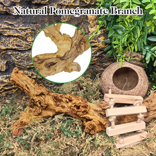 VCEPJH Reptile Bark Bedding Cork Bark for Reptiles Flat Cork Wood and Reptile Wood Branches, Snake Climbing Branch for Gecko Spider