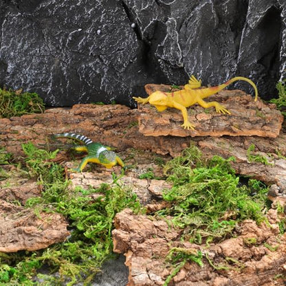 SHINEOFI 14pcs Cork Bark Reptile Decor Natural Tree Bark Climbing Platforms for Gecko Lizard Snake Spiders Tank Terrariums Turtle Tanks Decor,Random Shape
