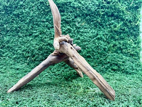 3 Coral Wood Aquarium Decoration Small, Rustic Brown Wood Branch, Reptile Climbing Decor for Terrariums, Fish Tanks 6-10 inches