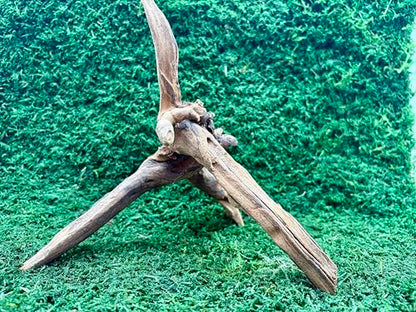 3 Coral Wood Aquarium Decoration Small, Rustic Brown Wood Branch, Reptile Climbing Decor for Terrariums, Fish Tanks 6-10 inches