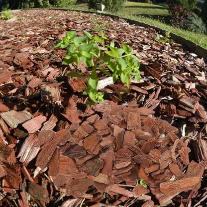 Reptile Terrarium Bark Chips Bedding Natural Pine Bark Pieces 3-5cm for Turtle Lizard Habitat Decor Reptile Supply Terrarium Substrate