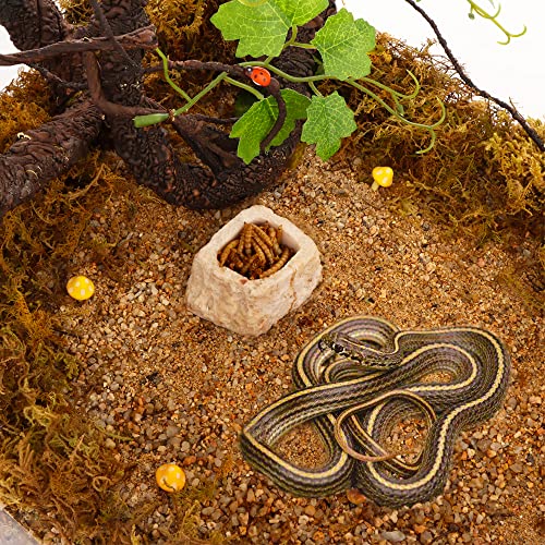 2 Pack Micro Water Bowl Mini Anti-Turnover Resin Dish for Lizard Frog Scorpion Corn Snake Reptiles