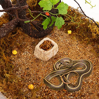 2 Pack Micro Water Bowl Mini Anti-Turnover Resin Dish for Lizard Frog Scorpion Corn Snake Reptiles