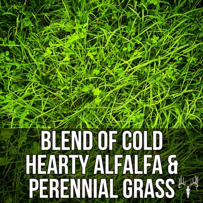 Crooked Bend Memas Moo Mix, 25LB Bulk, Farm Pasture Seed Blend for Horse, Cattle, Pig, Goat, Chicken, Duck, Sheep & Livestock, Grow Alfalfa & Perennial Grasses Fields, Graze Resistant, Cold Tolerant - size: 25 pounds