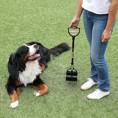 Arm & Hammer Pooper Scooper Claw Scoop Dog Poop Scooper for Yard Pet Waste Management System,(Pack of 6) - size: One Size (Pack of 6), style: Claw Scooper