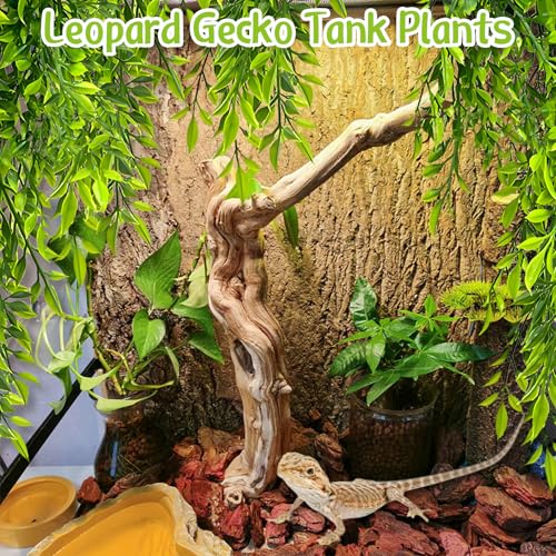 Hamiledyi Reptile Plants Bendable Jungle Climbing Vine Terrarium Branch and Tank Habitat Decorations 2 PCS Terrarium Hanging Plants with Suction Cups for Lizard, Snake, Bearded Dragon, Leopard Gecko