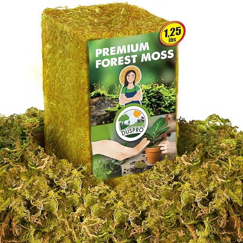 DUSPRO 1.25LBS Dried Moss for Potted Plants, Forest Orchid Moss for Potting Mix, Sphagnum Potting Moss for Plants Indoor, Real Moss Soil Cover for Houseplant - color: 1.25 LBS Natural