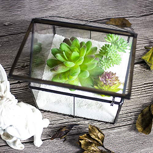 Ferrisland Glass Plant Terrarium Container Wardian Case Indoor Small Succulent Terrarium Planter w/Door for Tabletop Decor DIY - 4.9"x4.3"x4.3" - size: 4.3"L x 4.3"W x 4.9"H