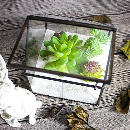 Ferrisland Glass Plant Terrarium Container Wardian Case Indoor Small Succulent Terrarium Planter w/Door for Tabletop Decor DIY - 4.9"x4.3"x4.3" - size: 4.3"L x 4.3"W x 4.9"H