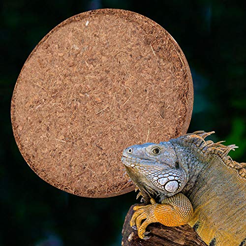 Gavigain Coconut Soil Pet Bedding, and, Retention, Digestive Safe, for Reptiles, Amphibians, Spiders, Tortoises, Snakes