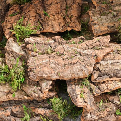 14Pcs Natural Cork Bark Reptile Bark Decor and Hideout 5.11X2.95In Climbing Platform for Leopard Gecko Snake and Lizard Habitat Accessories