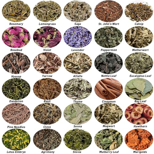 HNSHAG 30pcs Witchcraft Supplies Herbs Witch Stuff Spell Kit,Bulk Dried Herb Flowers for Wiccan Rituals,Pagan,Natural Healing Herbal with Spoon,Bell,Witch Gift Starter Set Altar Supplies Decor - size: 30pack