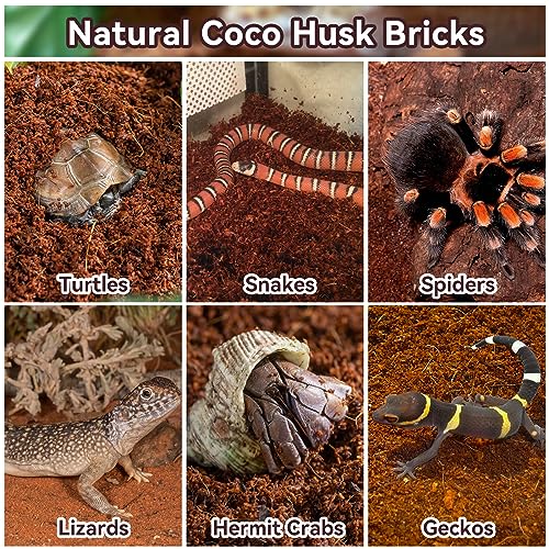 Legigo 2 Pack Coconut Fiber Substrate, Natural Coco Coir Bedding for Reptiles Turtles, Tortoises, Snake, Hermit Crab, Gecko, Lizard, Bioactive Terrarium Soil for Humidity Control and Plant Substrate - color: 2 Pack