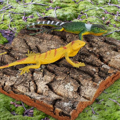 Didiseaon Cork Bark Reptile Tank Background 4 Pcs Cork Bark Pieces for Terrarium Aquarium Decorations Gecko Lizard Frog Bearded Dragon Enclosure Decor