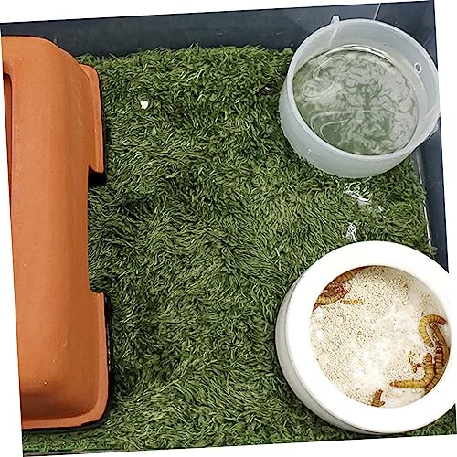 POPETPOP Fake Lawn Mat for Reptiles and Pets Washable Terrarium Liner Absorbent and Breathable Moss Carpet for Bearded Dragon Iguana Mat Accessory