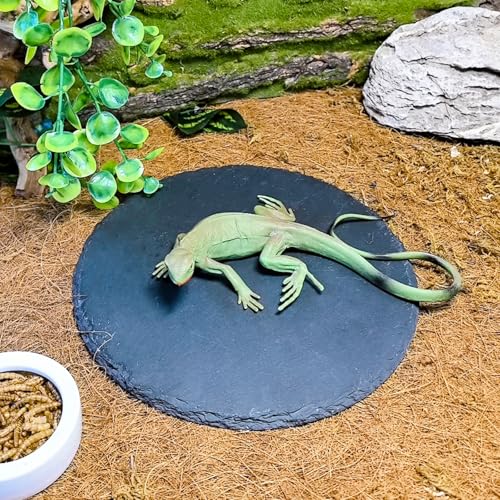 Reptile Basking Platform 2PCS 7.8IN Turtle Rock Slate Plate Feeding Plate Food Bowl Dish Tortoise Bathing Resting Terrace for Lizard Bearded Dragon Chameleon Gecko Snake Frog Newt - size: 7.8inch(2pcs)