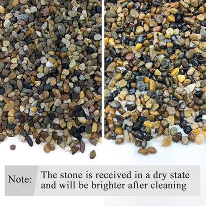 FANTIAN 40 lbs Aquarium Gravel, 1/4 Inch Fish Tank Pea Gravel, Decorative River Rocks Stone for Freshwater Tanks, Outdoor Pond, Garden, Landscaping, Terrarium, Soil Drainage - size: 1/4 Inch