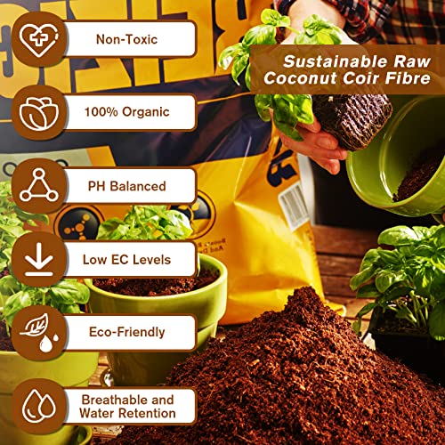 Legigo Pack of 10 Organic Coco Coir Bricks- 100% Natural Compressed Coco Peat Brick Coconut Fiber Substrate with Low EC&pH Balance, Plant Soil Enhance Root Growth for Herbs, Flowers, House Plants - color: Pack of 10