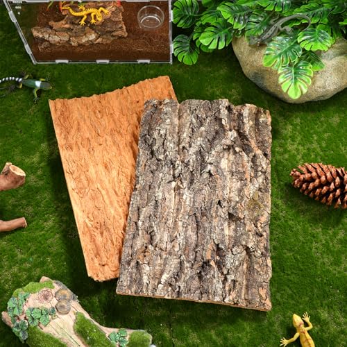 DOITOOL Natural Cork Bark Reptile Platforms for Terrarium Decor 11.81X7.87X1.57In Climbing and Resting Accessories for Lizards Turtles Spiders and Small Pets