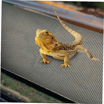 BESPORTBLE Reusable Terrarium Liner Reptile Carpet Bedding Portable Snake Mat Lizard Carpet Mat Decorative Reptile Pad