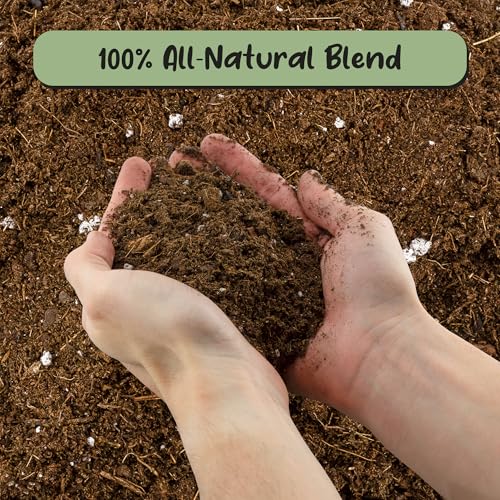 Soil Sunrise Monstera Houseplant Potting Soil Mix (30 Quarts) Custom Blend for Growing and Repotting - size: 30 Quarts