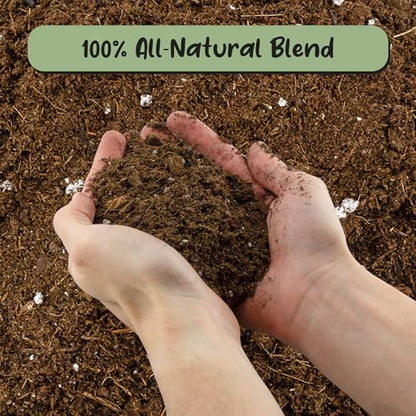 Soil Sunrise Monstera Houseplant Potting Soil Mix (8 Quarts) Custom Blend for Growing and Repotting - size: 8 Quarts