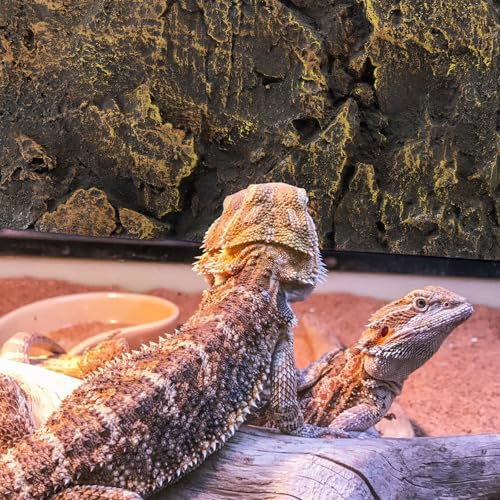 3D Reptile Tank Background Board Pu Material Textured Decorative Panel for Turtle Terrarium Environment with Yellow Rock Pattern Suitable for Turtle and Reptile Tanks