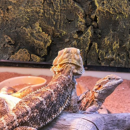 3D Reptile Tank Background Board Pu Material Textured Decorative Panel for Turtle Terrarium Environment with Yellow Rock Pattern Suitable for Turtle and Reptile Tanks