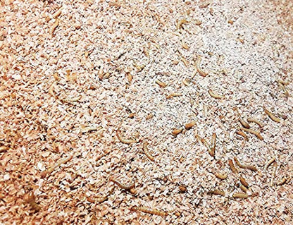Josh's Frogs Mealworm & Superworm Wheat Bran Bedding and Food Source (5 Quarts) - size: 2 Pound (Pack of 1)