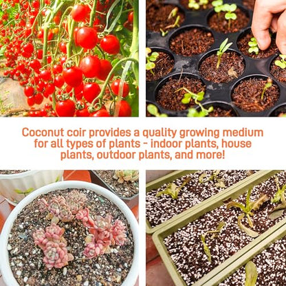 Coco Coir Brick for Plants- 27 Pack Coconut Coir Bricks Premium 100% Organic Peat Moss Mix with Low EC & pH Balance, Fiber Coconut Husk for Planting, Gardening, Potting Soil Substrate - size: 27Pack