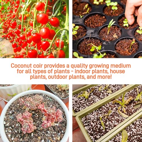 Coco Coir Brick for Plants- 27 Pack Coconut Coir Bricks Premium 100% Organic Peat Moss Mix with Low EC & pH Balance, Fiber Coconut Husk for Planting, Gardening, Potting Soil Substrate - size: 27Pack