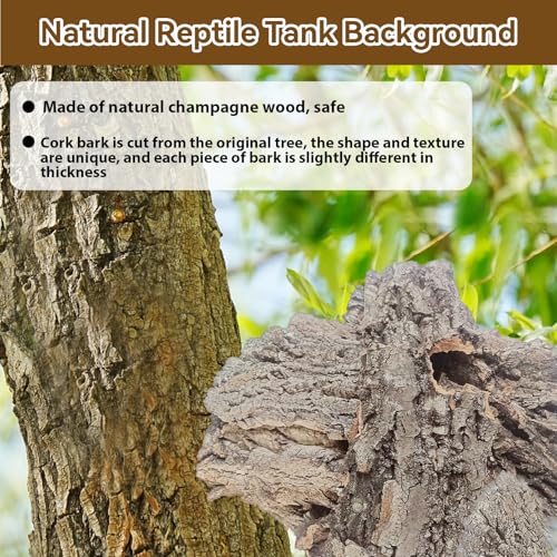 Reptiles Cork Bark Bits Substrate,1 LB Terrarium Bark Bedding Bulk for Geckos Snake Isopods Bearded Dragon Spiders Lizard Tarantula Hermit Crabs - size: 【1.0 LB】