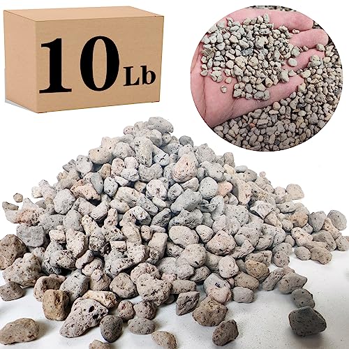 Voulosimi Garden Pumice Rock Horticultural Cactus Bonsai Succulent Soil Additive for Plants, Landscaping, Vase Fillers (1/4 inch, 10 LB) - color: 10 LB