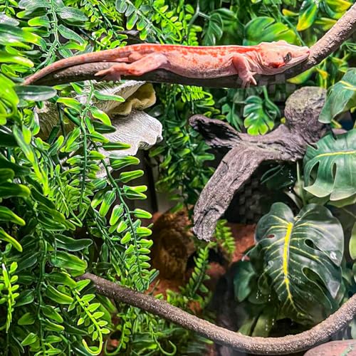 HERCOCCI Crested Gecko Tank Accessories, Reptile Hanging Plants Vines with Coconut Shell Ladder Hideout Hermit Crab Decor for Lizard, Chameleon Cage, Snakes, Hermit Crab, Leopard Gecko